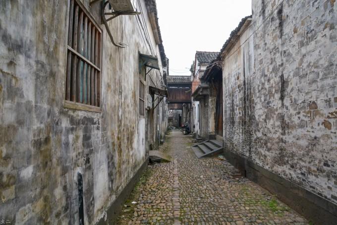 保障农民“粮出手钱到手”：金融助力秋粮收购 科技赋能储备粮监管